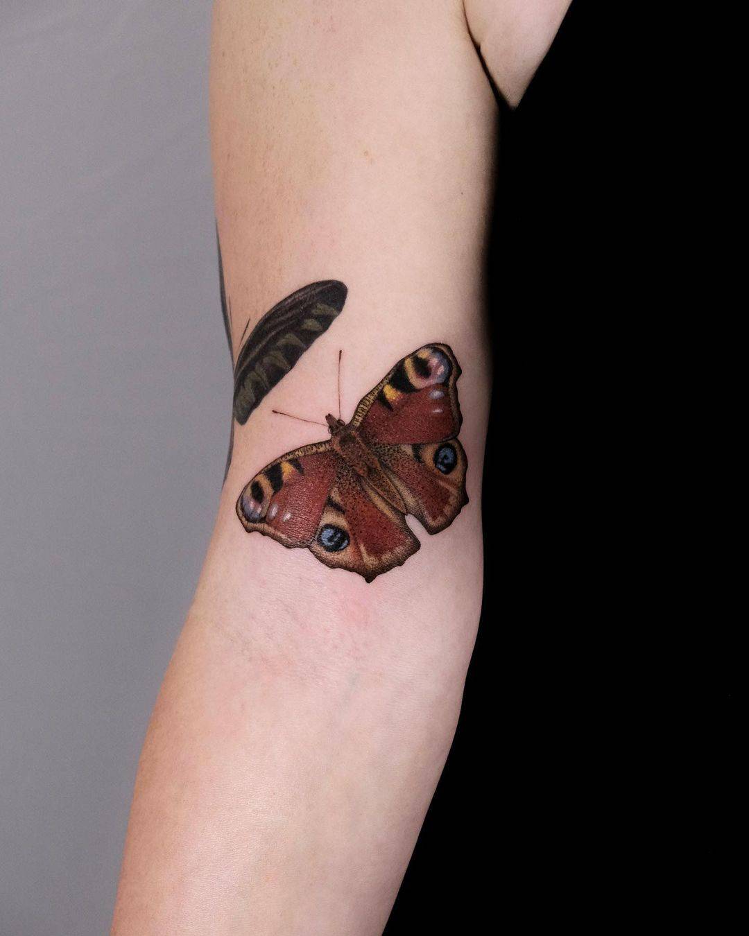 Butterfly Tattoo Ideas 21