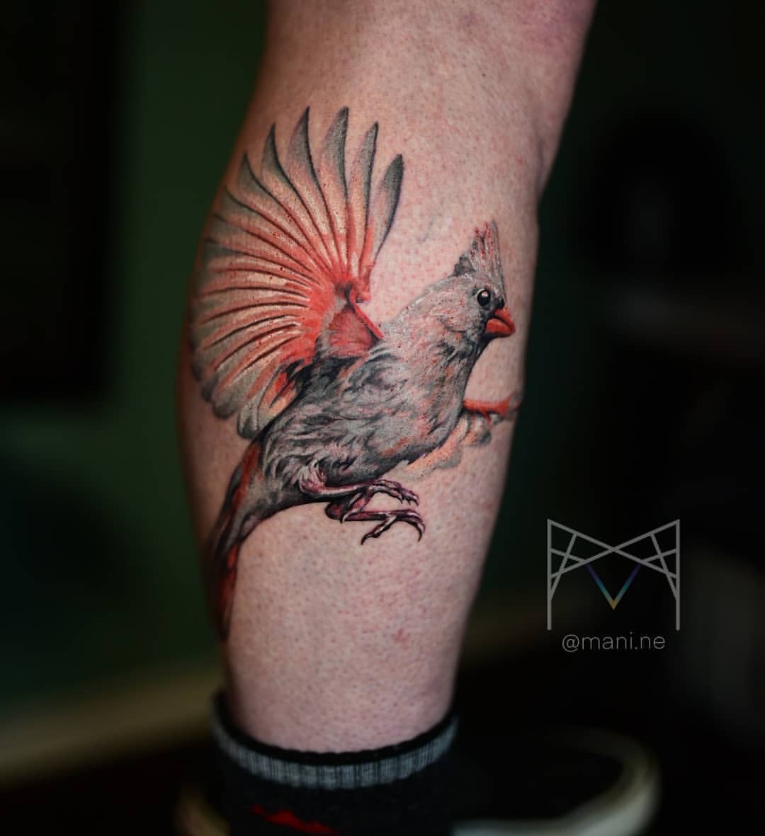 Cardinal Bird Tattoos 11