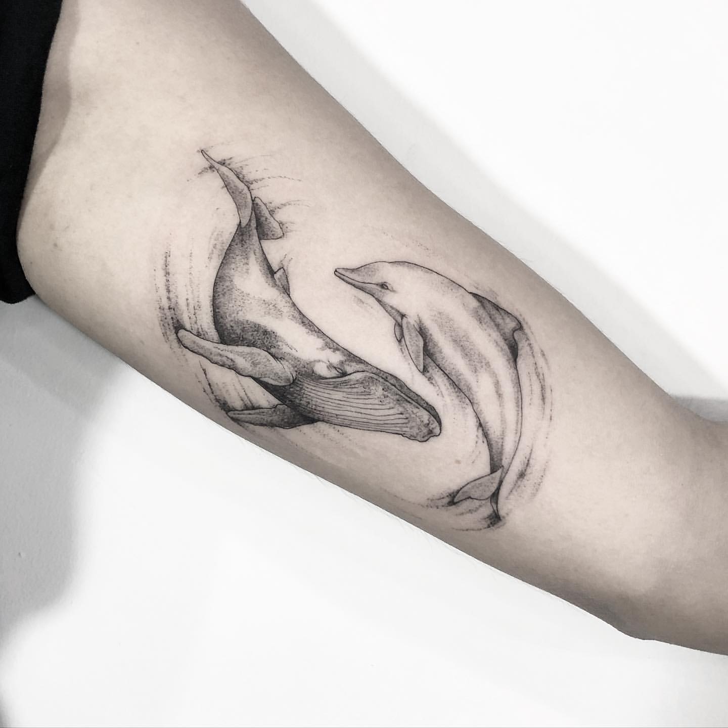 Dolphin Tattoo Ideas 2