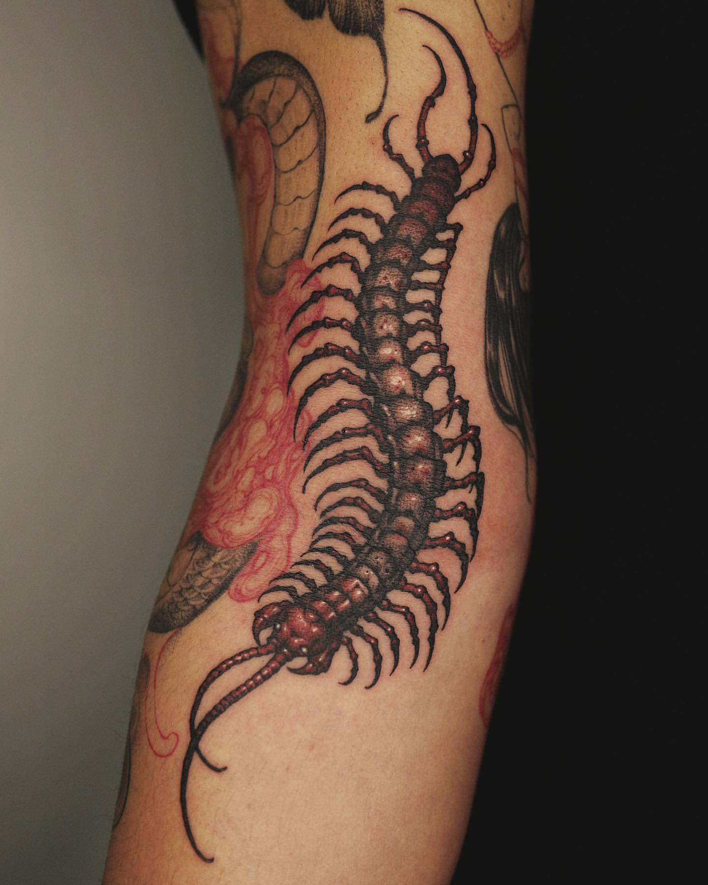 Centipede Tattoo Ideas 1