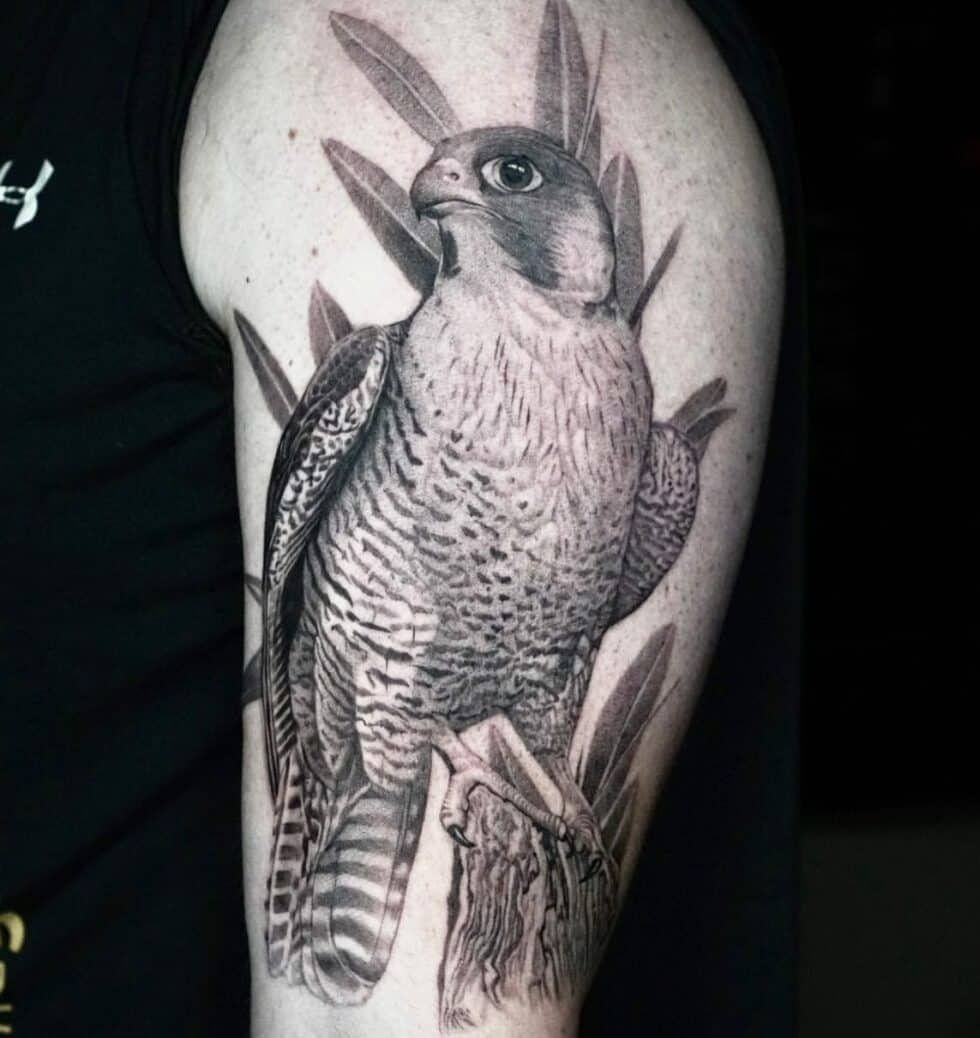 50 Amazing Hawk Tattoo Ideas for Men & Women in 2023
