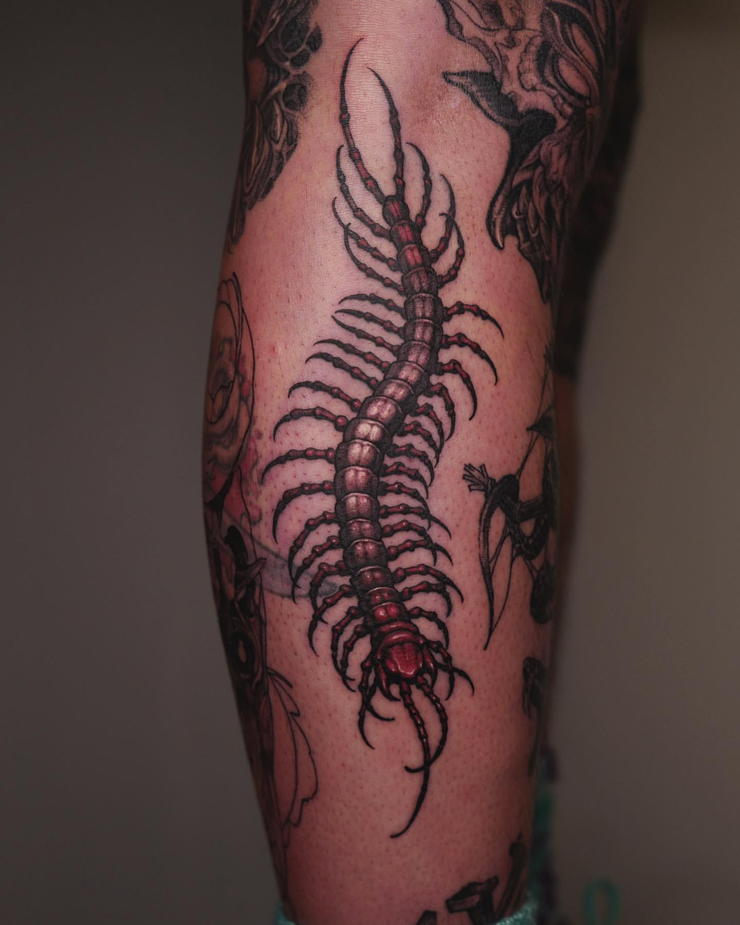 Centipede Tattoo Ideas 10