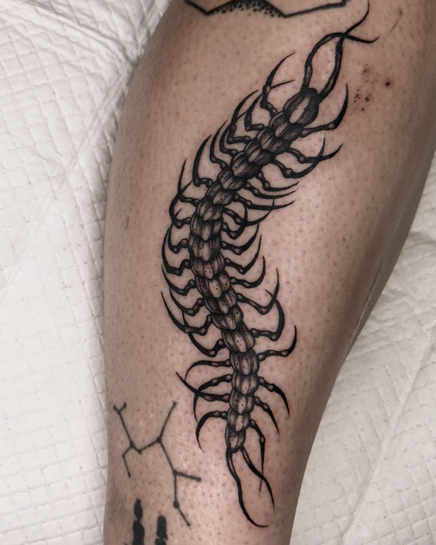 Centipede Tattoo Ideas 11