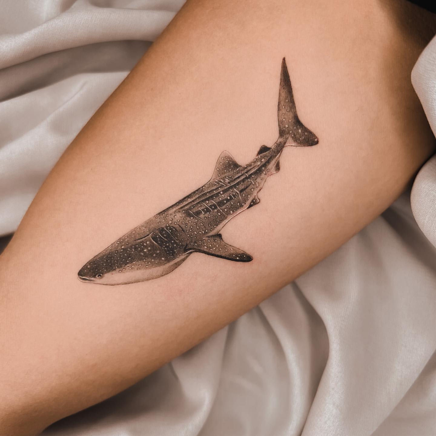 Shark Tattoo Ideas 4