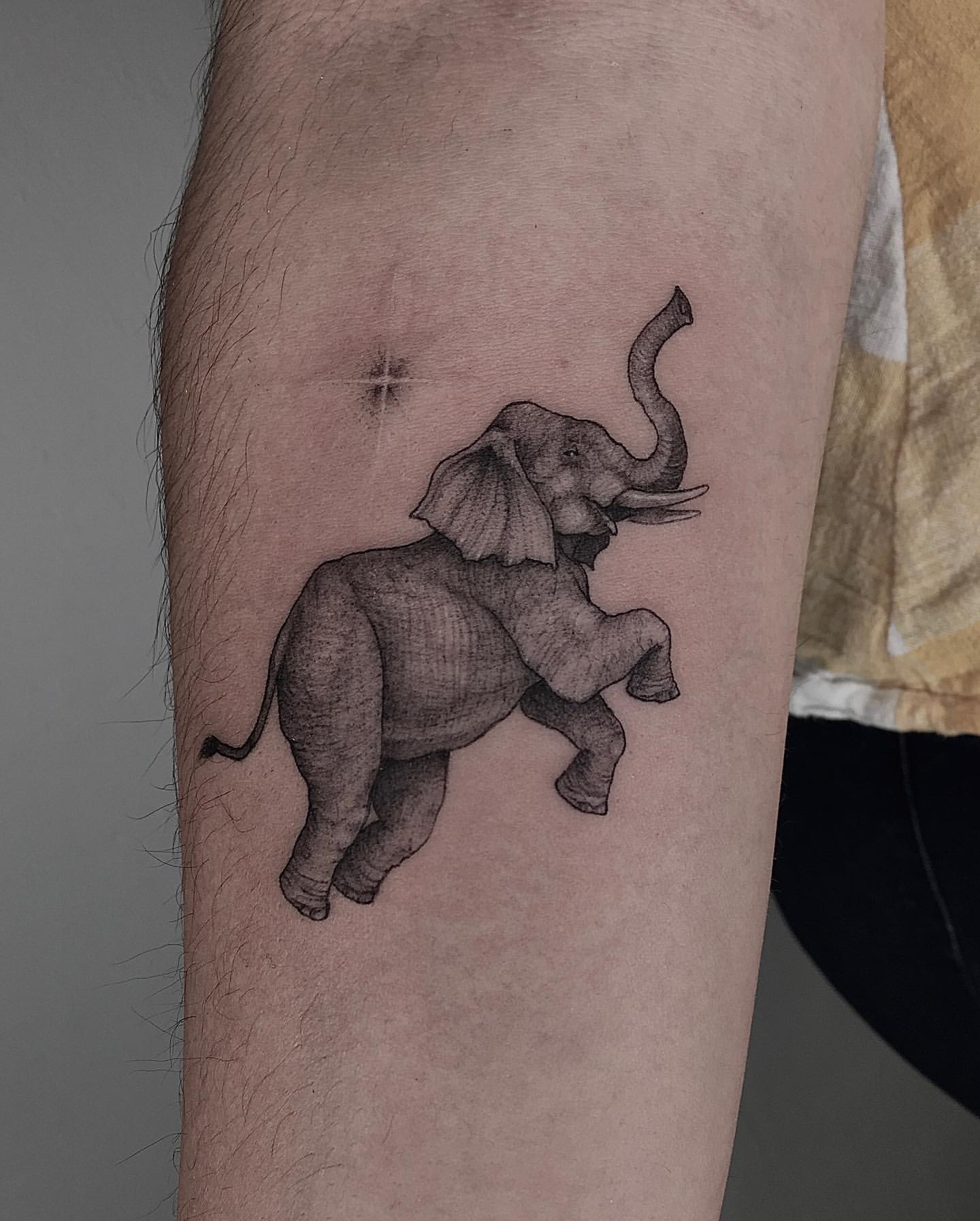 Elephant Tattoo Ideas 22