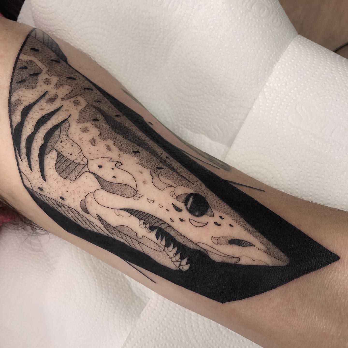 Shark Tattoo Ideas 8