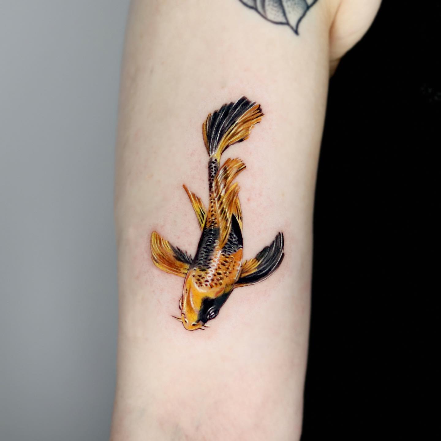 Learn 98+ about small koi fish tattoo super cool .vn