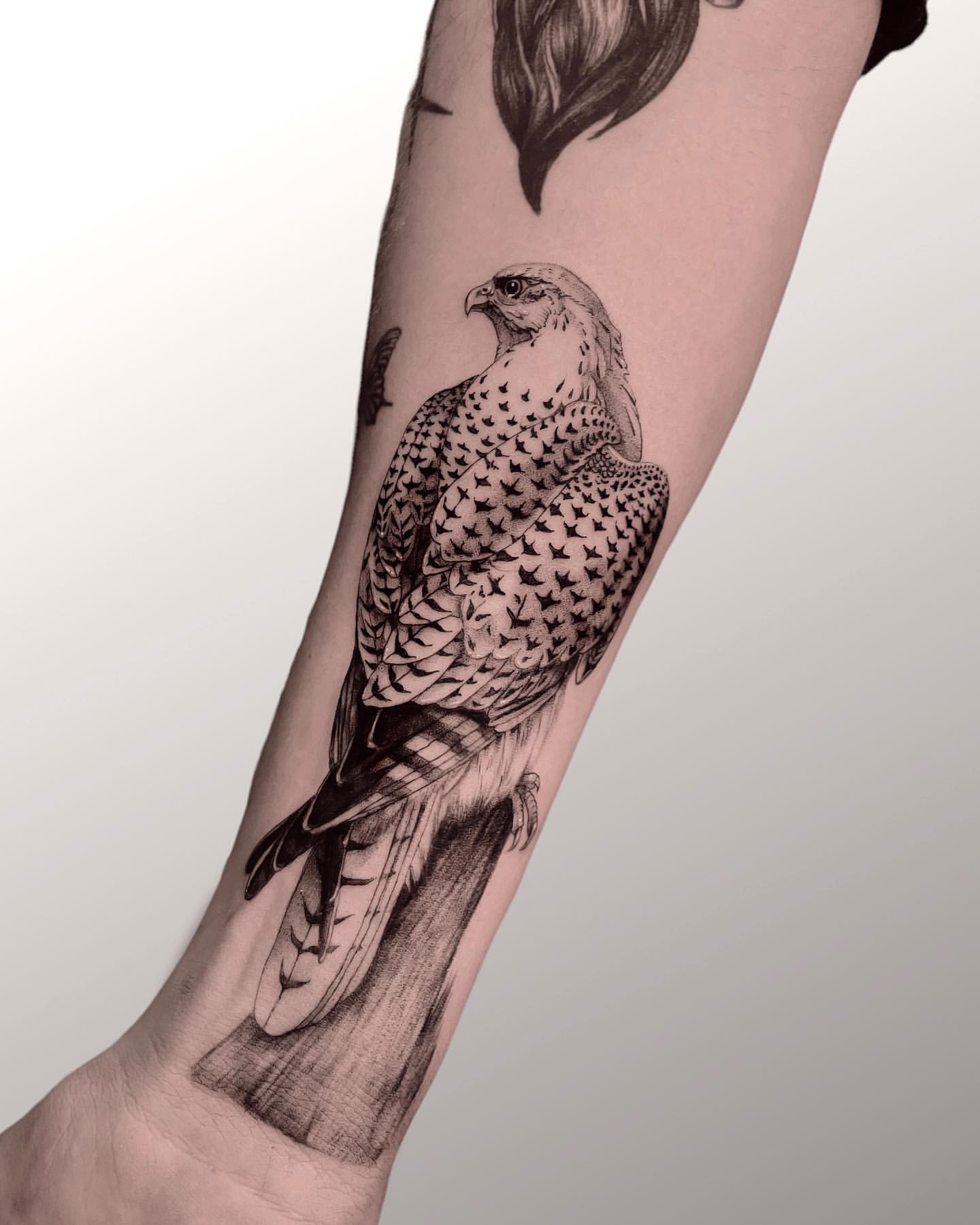 Hawk Tattoo Ideas 42