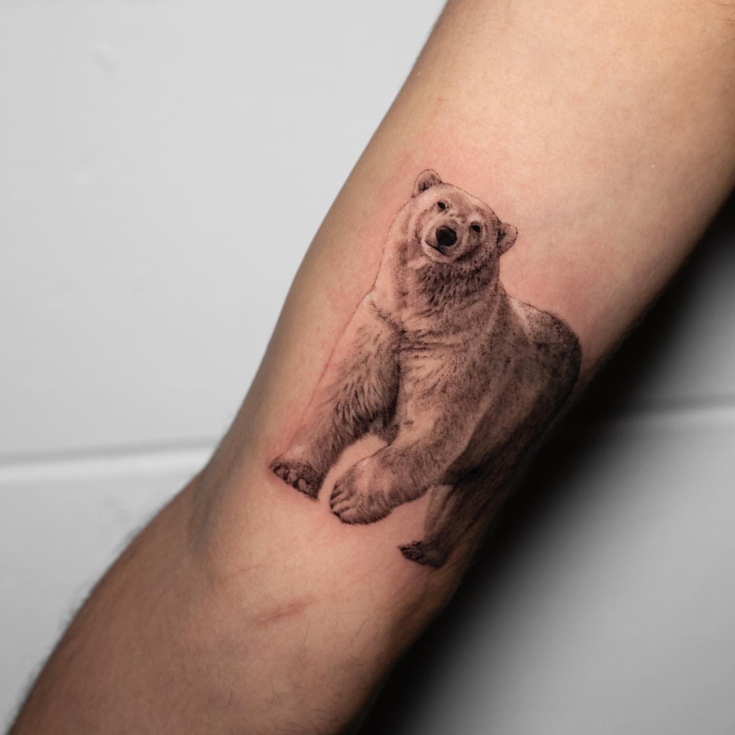 Bear Tattoo Ideas 8