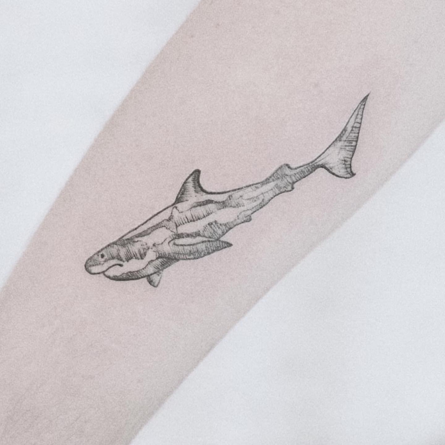 30 Sensational Shark Tattoo Ideas for Women & Men in 2023