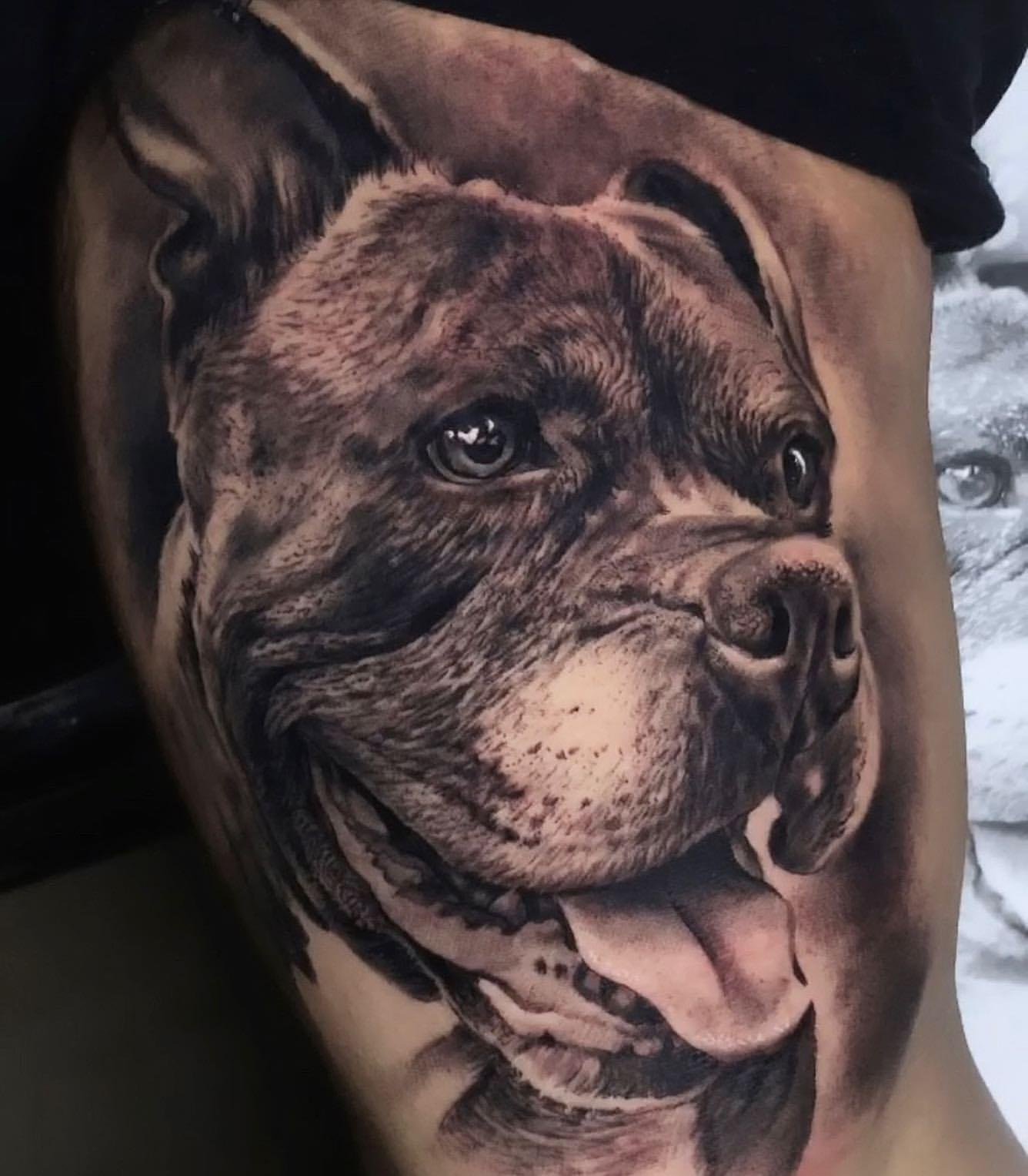 Best Animal Tattoo Ideas 17