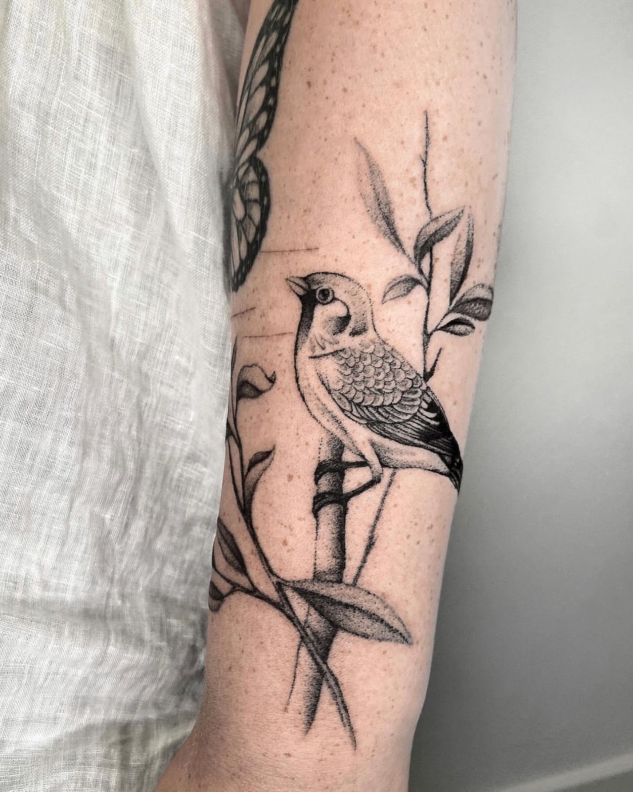 Sparrow Tattoo Ideas 42