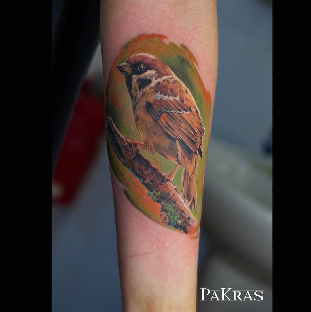 Sparrow Tattoo Ideas 1