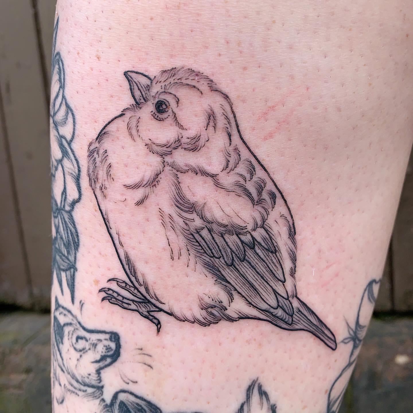 Sparrow Tattoo Ideas 9
