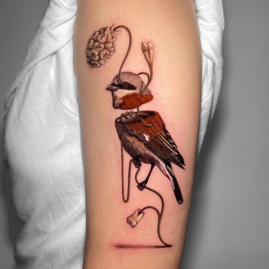 Sparrow Tattoo Ideas 38