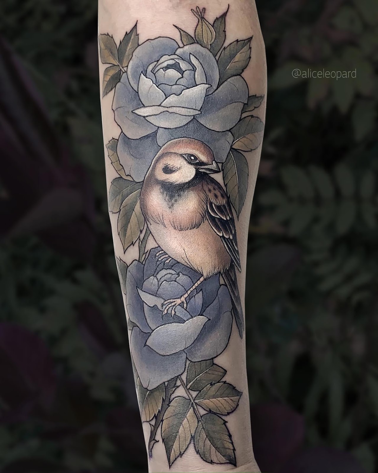 Sparrow Tattoo Ideas 6