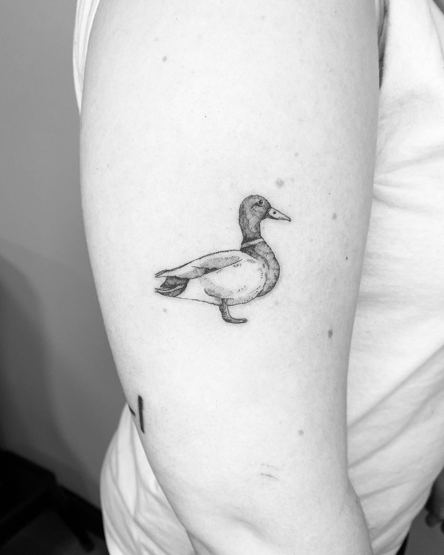 Duck Tattoo Ideas 1