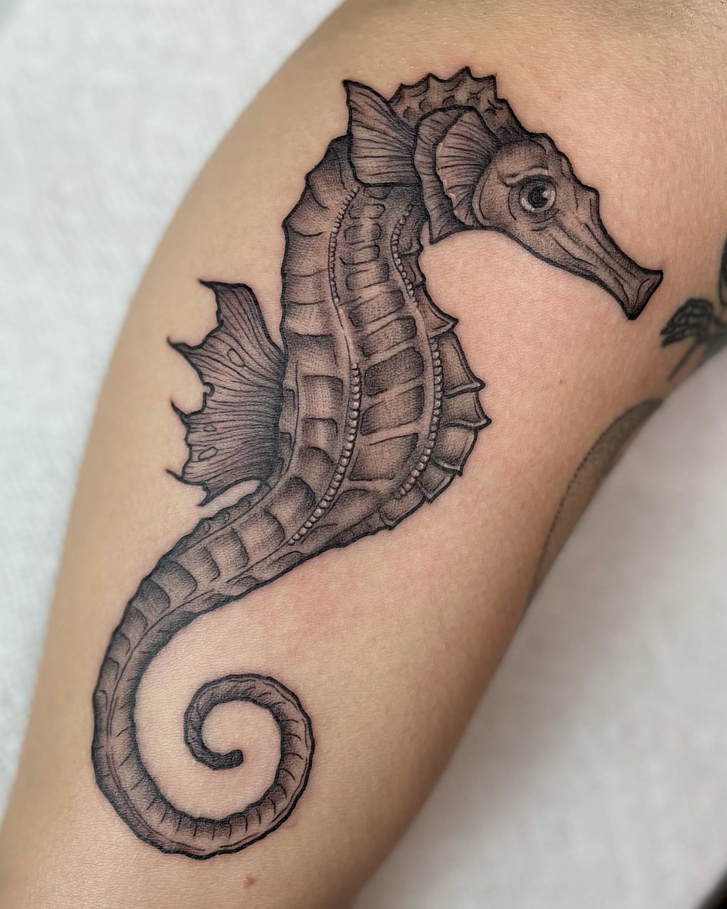 Seahorse Tattoo Ideas 7