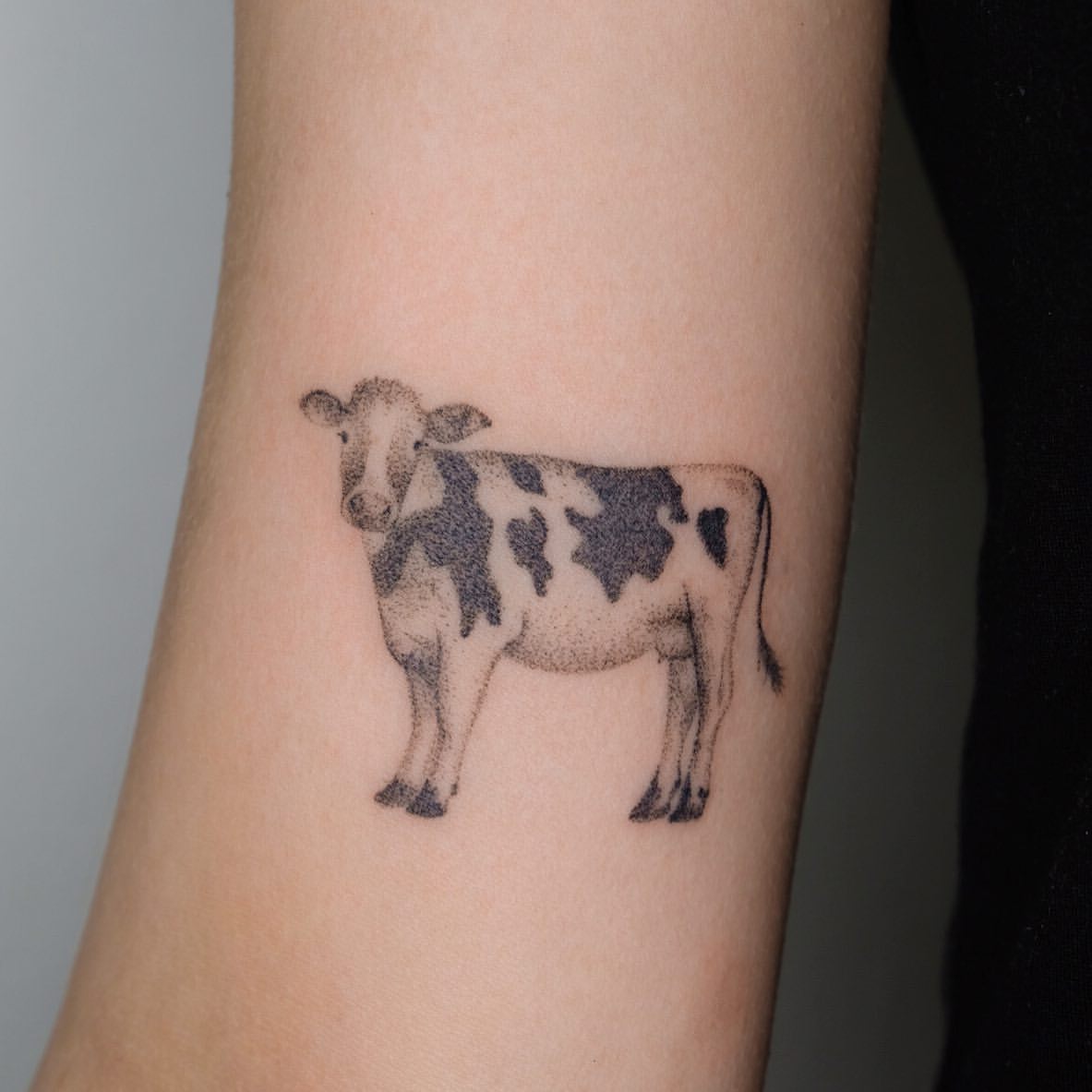 Cow Tattoo Ideas 2
