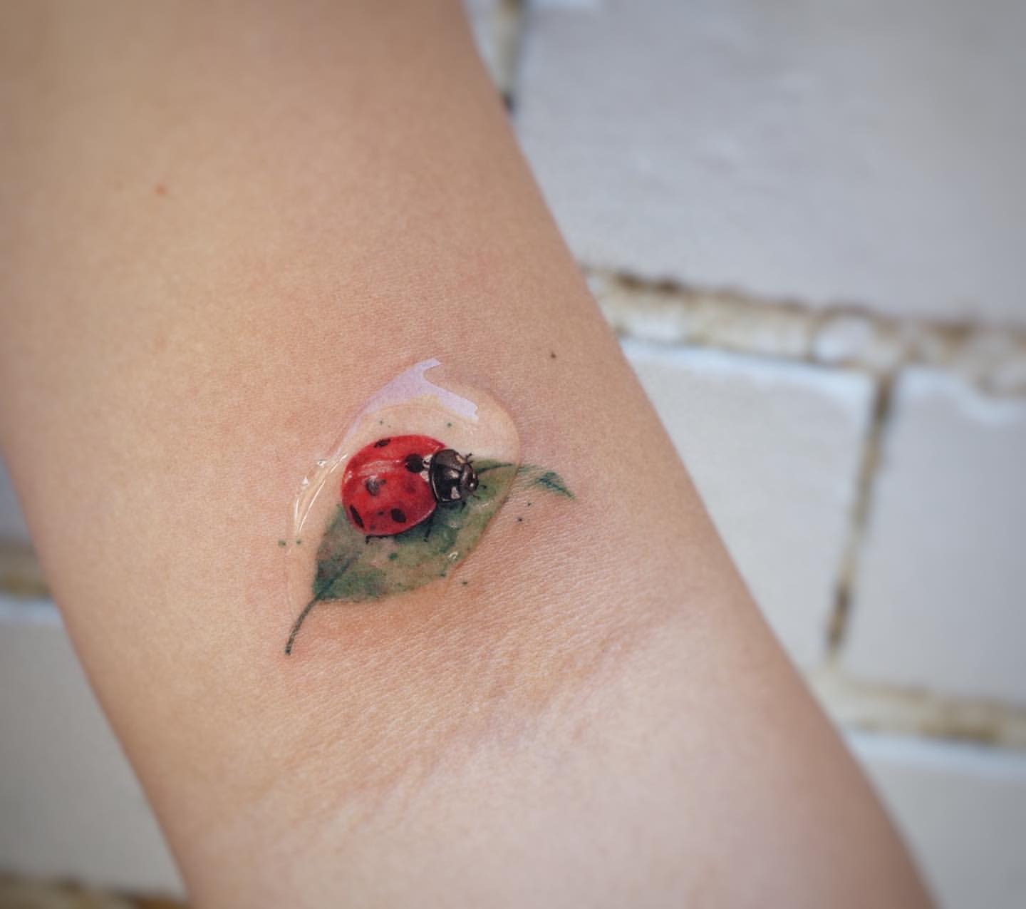 Ladybug Tattoo Ideas 5