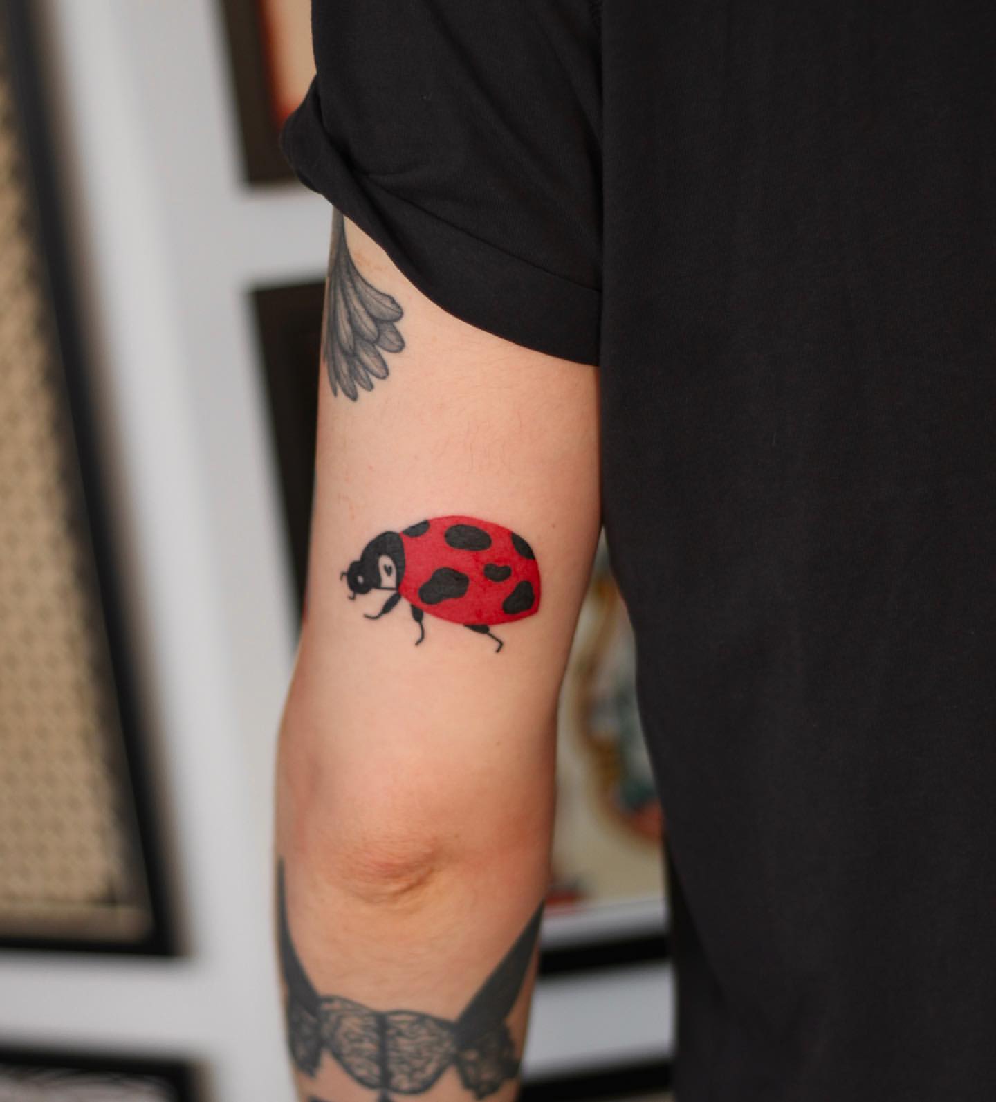 25 Lovely Ladybug Tattoo Ideas for Men & Women in 2023