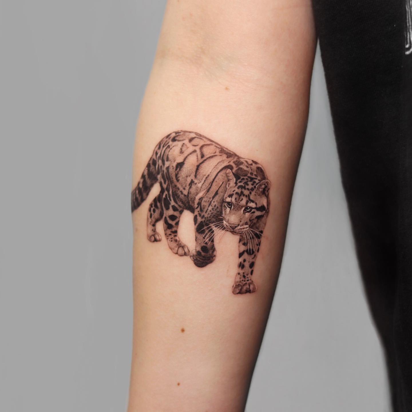 Leopard and Jaguar Tattoo Ideas 29