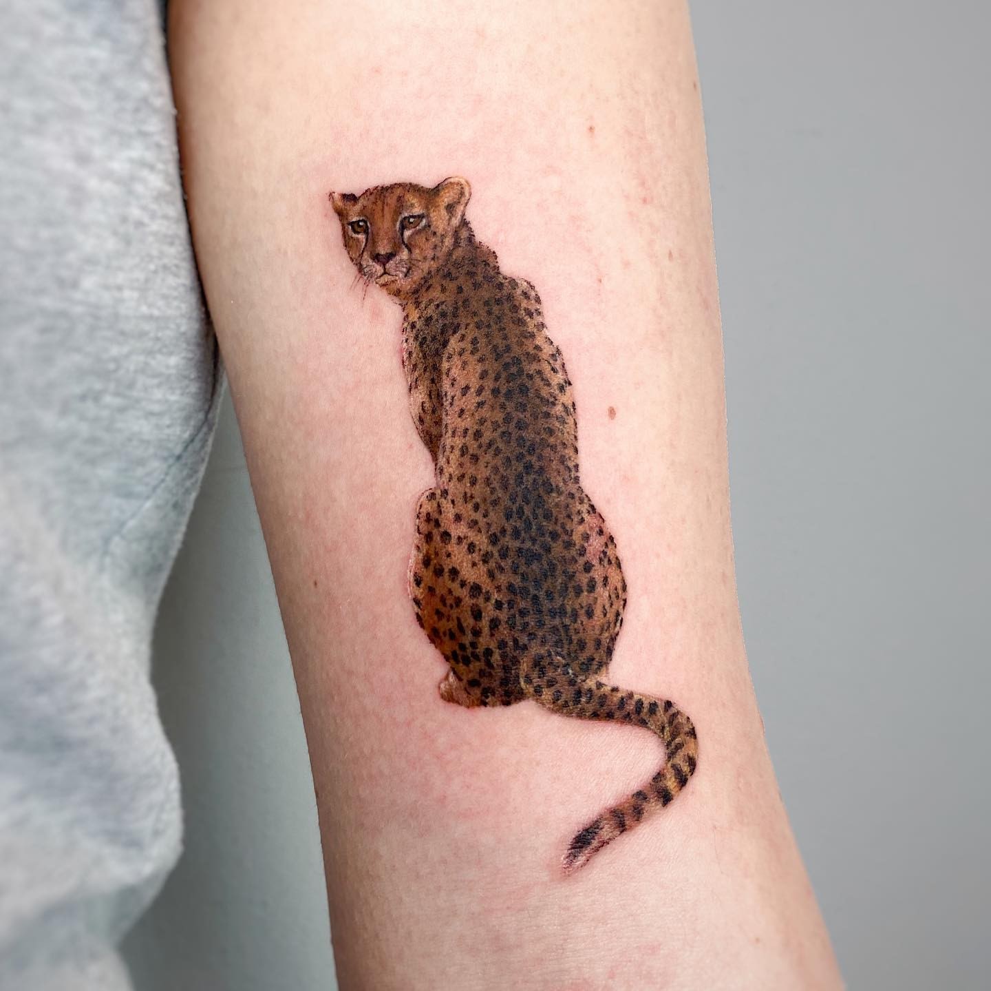 Cheetah Tattoo Ideas 19