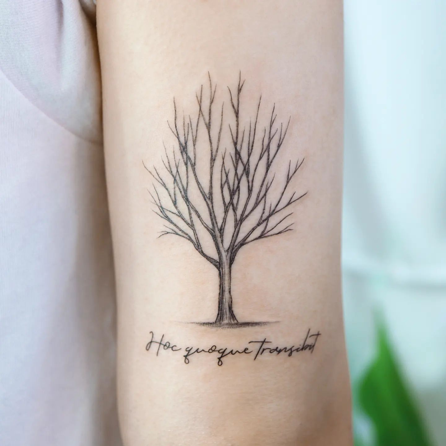Tree Tattoo Ideas 13
