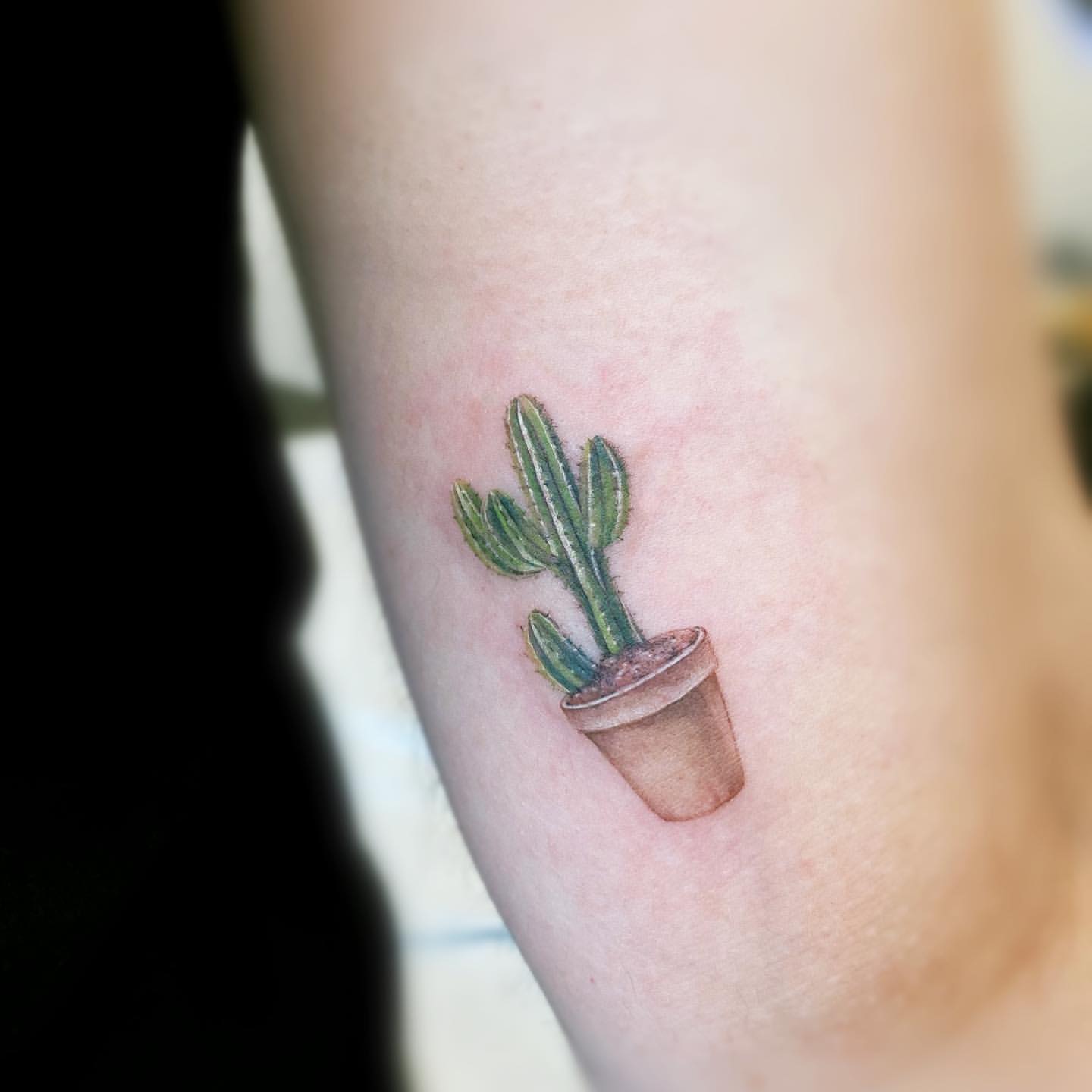 Cactus Tattoo Ideas 27